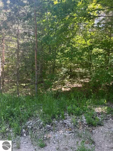 Parcel E N 45 Road, Manton, MI 49663 photo 5