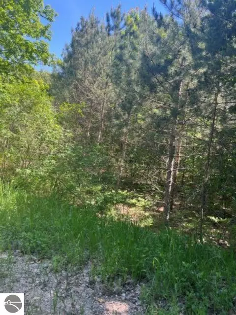Parcel E N 45 Road, Manton, MI 49663 photo 6