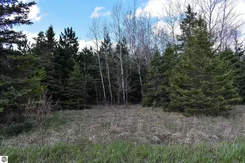 0000 Hall Rd, South Boardman, MI 49680 photo 6