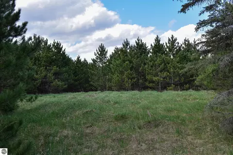0000 Hall Rd, South Boardman, MI 49680 photo 7