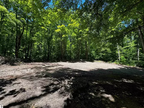 Kim Trail, Gaylord, MI 49734