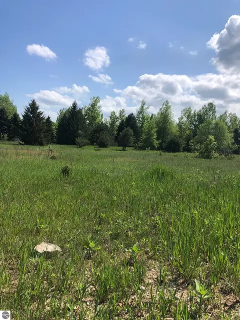 0 E Ridgecliff Trl, Cedar, MI 49621