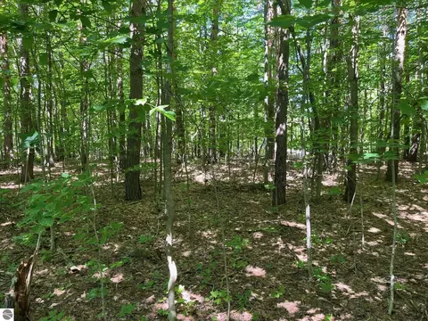 0000 W Beeman Rd, Empire, MI 49630