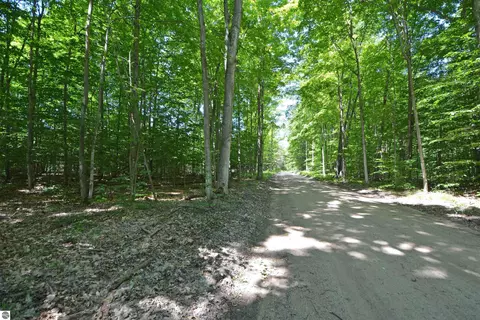 Demerly Road, Benzonia, MI 49616