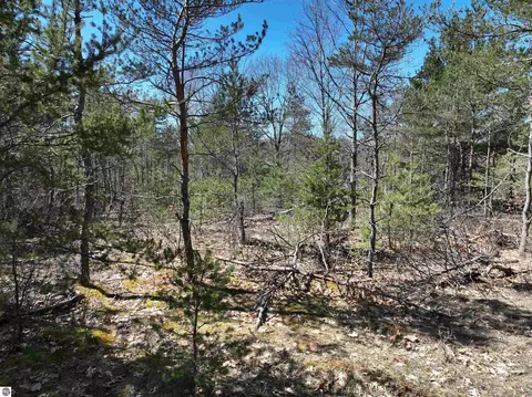 E 12 Road, Manton, MI 49663 photo 27