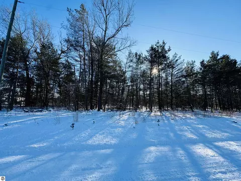 E 12 Road, Manton, MI 49663 photo 6