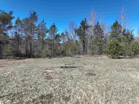 E 12 Road, Manton, MI 49663 photo 14