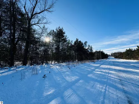 E 12 Road, Manton, MI 49663 photo 4