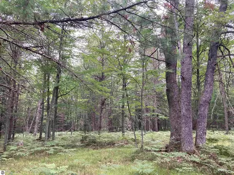 N/a Heath Road, West Branch, MI 48661