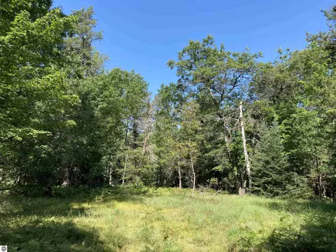 N/a Heath Road, West Branch, MI 48661