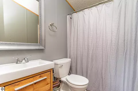 Bath - 3745 E Millbrook Rd, Mount Pleasant, MI 48858 photo 3 of 3