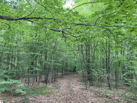N/a Brenda Drive, Lupton, MI 48635