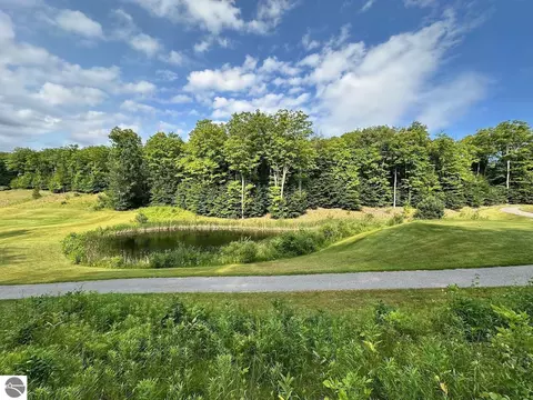 Unit 170 Raptor Run, Bellaire, MI 49615