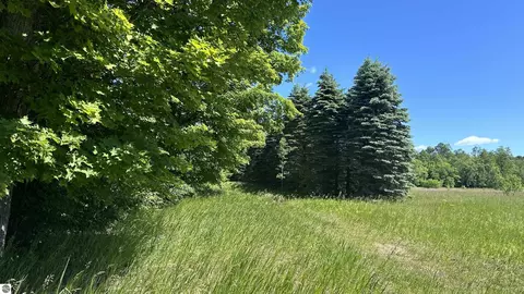 331 Kleehammer Club Dr, Kalkaska, MI 49646