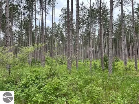0 Samels Rd, Williamsburg, MI 49690 photo 2