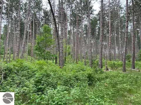 0 Samels Rd, Williamsburg, MI 49690 photo 6