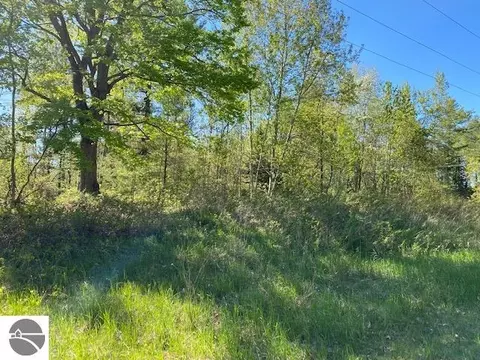 0 Herrman Rd, Elk Rapids, MI 49629