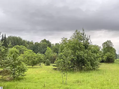 5107 SE Schlaf Ln, Kalkaska, MI 49646