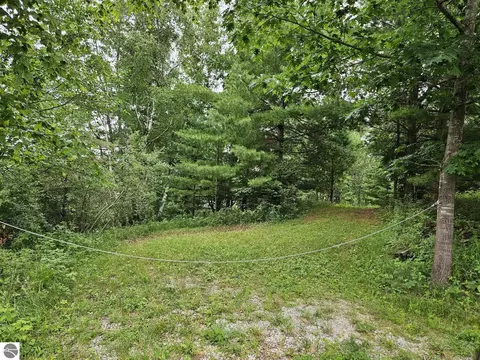 Vl E State Road, Hale, MI 48739 photo 9