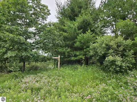 Vl E State Road, Hale, MI 48739 photo 13