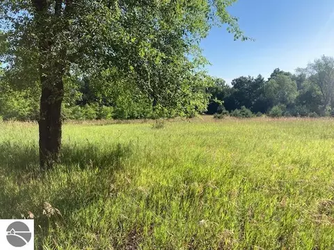 Forest Court, Bellaire, MI 49615