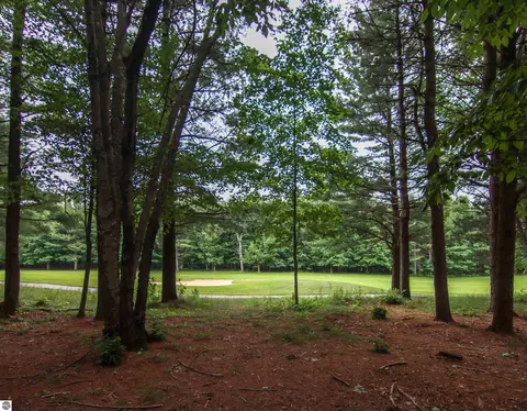 0000- Unit 40 Trailside Dr, Thompsonville, MI 49683