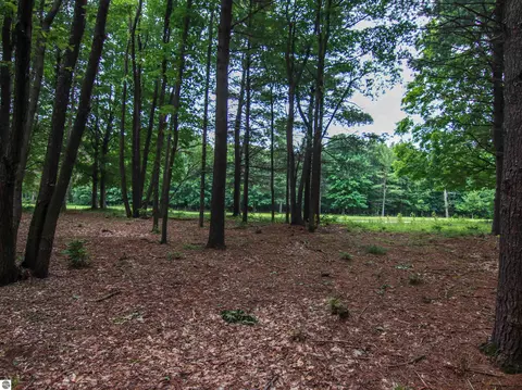 0000- Unit 41 Trailside Dr, Thompsonville, MI 49683