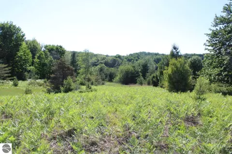 001 Griffin Rd, Boyne City, MI 49712