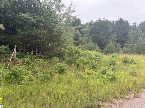 Manhattan East, Traverse City, MI 49685