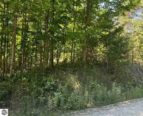 00 W Briar Hill Dr, Maple City, MI 49664