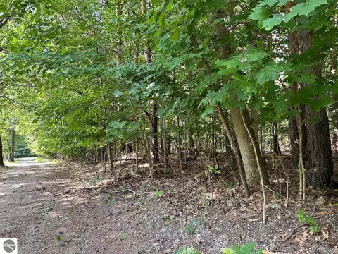 00 John R Rodgers Rd, Bellaire, MI 49615