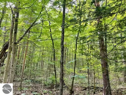 00 Ryan Rd, Honor, MI 49640 photo 6