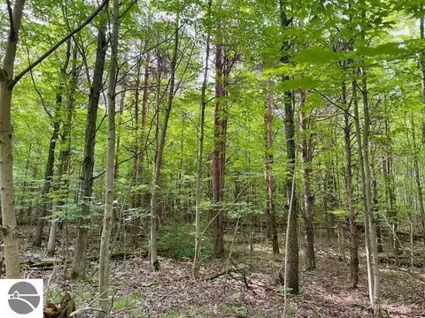 00 Ryan Rd, Honor, MI 49640
