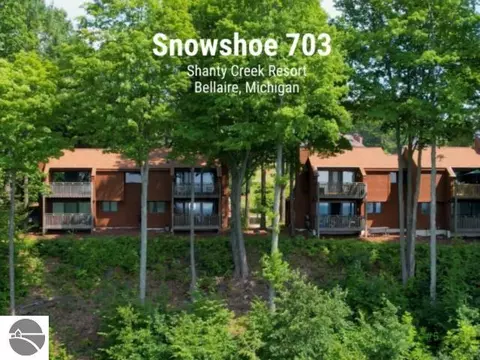 4826 N Crossover Dr #703, Bellaire, MI 49615