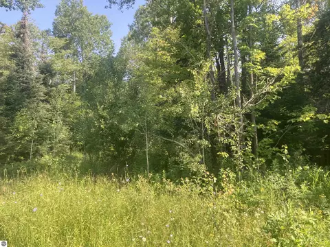 County Line Road, Nisula, MI 49952