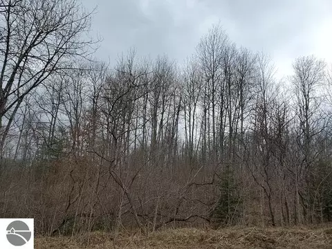 0 Everitt Trl, Hale, MI 48739 photo 4