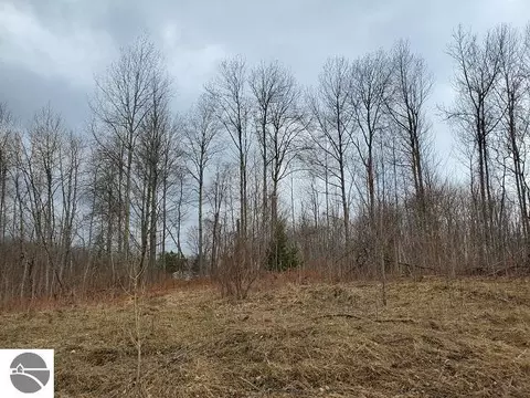 0 Everitt Trl, Hale, MI 48739