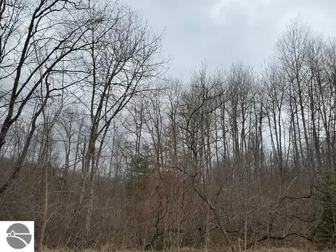 0 Everitt Trl, Hale, MI 48739 photo 5