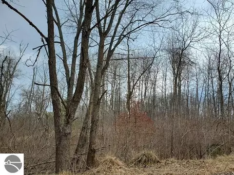 0 Everitt Trl, Hale, MI 48739 photo 3