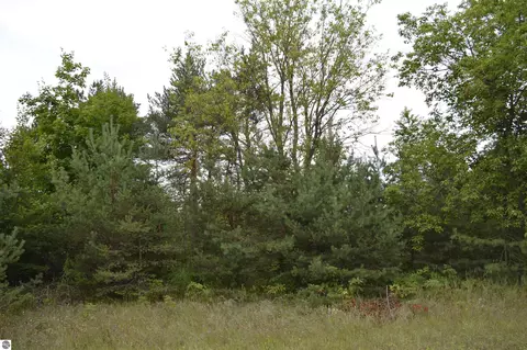 00 County Line Rd, Mancelona, MI 49659