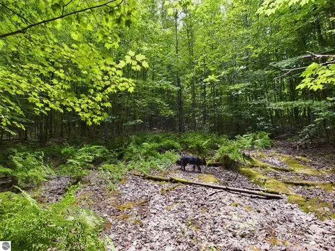 0 Reynolds Rd, Interlochen, MI 49643 photo 10