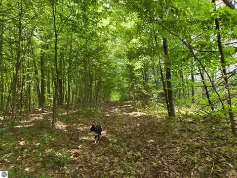 0 Reynolds Rd, Interlochen, MI 49643 photo 18