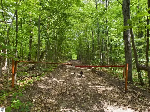 0 Reynolds Rd, Interlochen, MI 49643 photo 20
