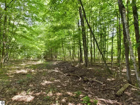 0 Reynolds Rd, Interlochen, MI 49643 photo 17