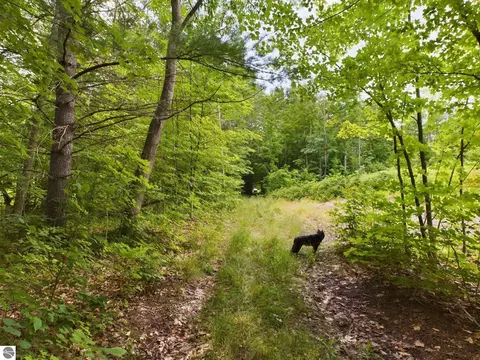 0 Reynolds Rd, Interlochen, MI 49643
