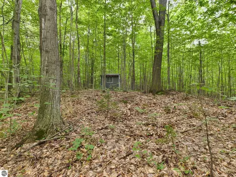 0 Reynolds Rd, Interlochen, MI 49643 photo 5