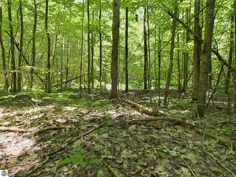 0 Reynolds Rd, Interlochen, MI 49643 photo 16