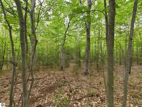 0 Reynolds Rd, Interlochen, MI 49643 photo 7