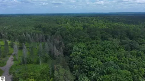 0 Reynolds Rd, Interlochen, MI 49643 photo 2