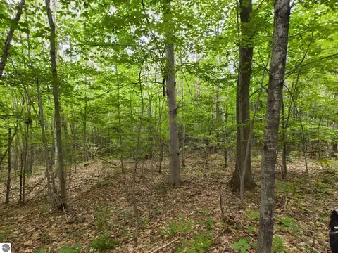 0 Reynolds Rd, Interlochen, MI 49643 photo 8